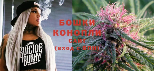 прущие грибы Елизово