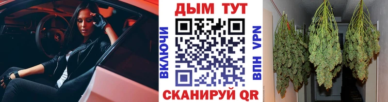 Конопля индика  Чусовой 